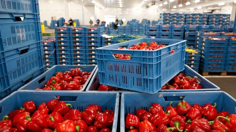 Ангар сельхозпродукции и спортивно-оздоровительный центр построят в Подмосковье