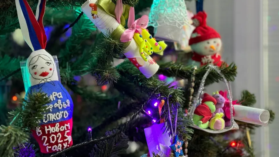 Фото: МедиаБанк Подмосковья/Яна Шаливская