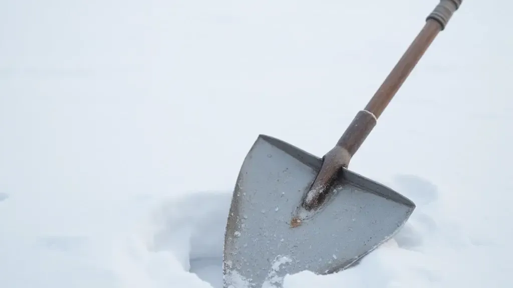 «Подмосковье сегодня»/Сгенерировано нейросетью