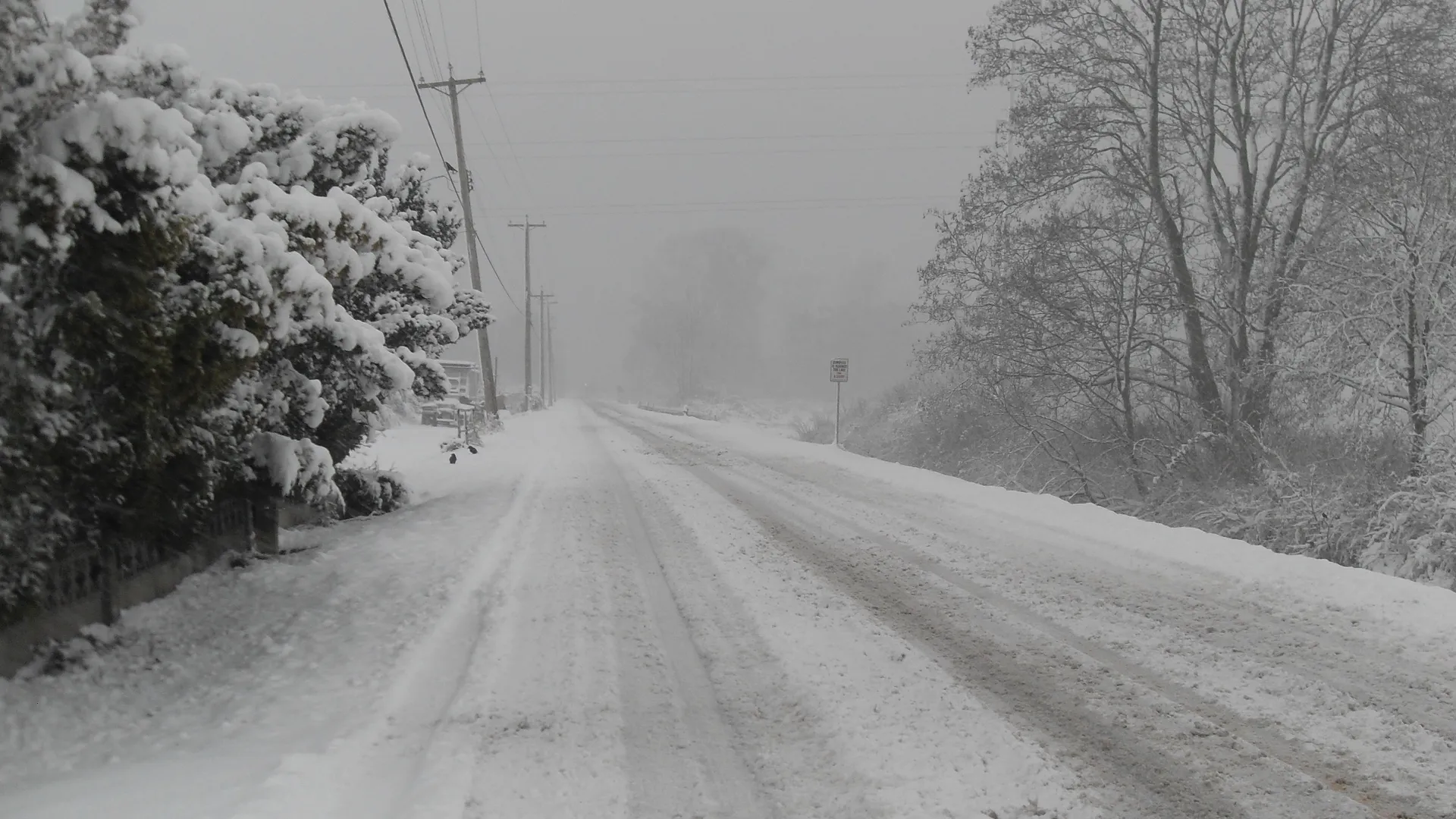 Фото: pxhere.com