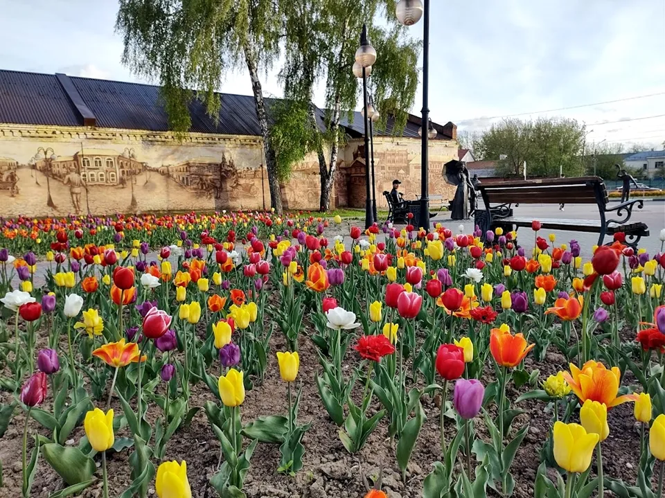 Фото: REGIONS/Алексей Селиверстов