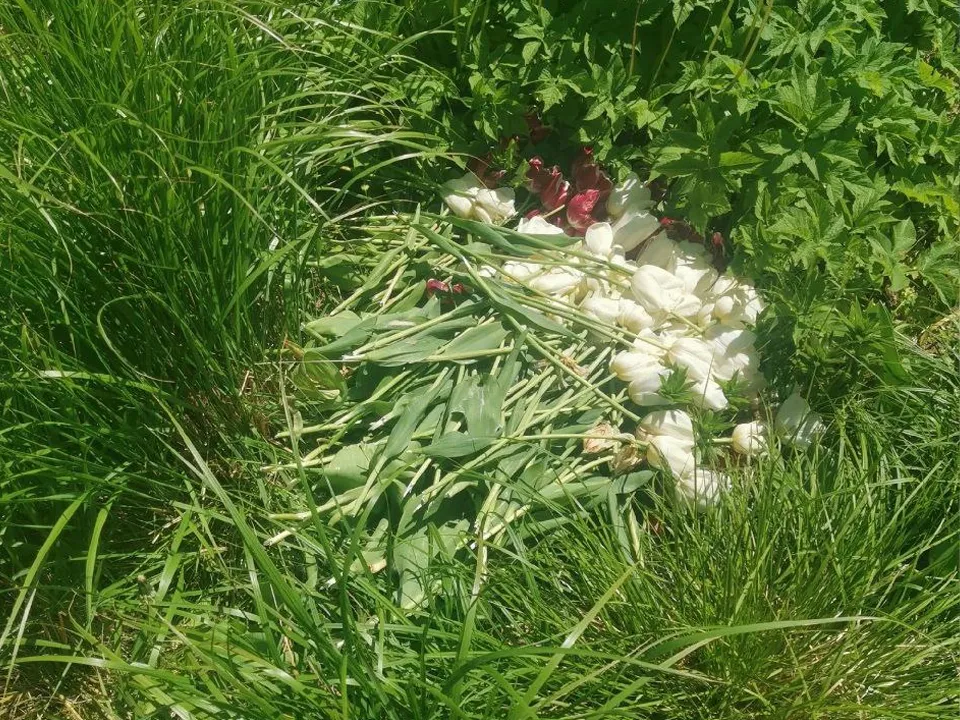 Фото: vk.com/Волоколамск Подслушано