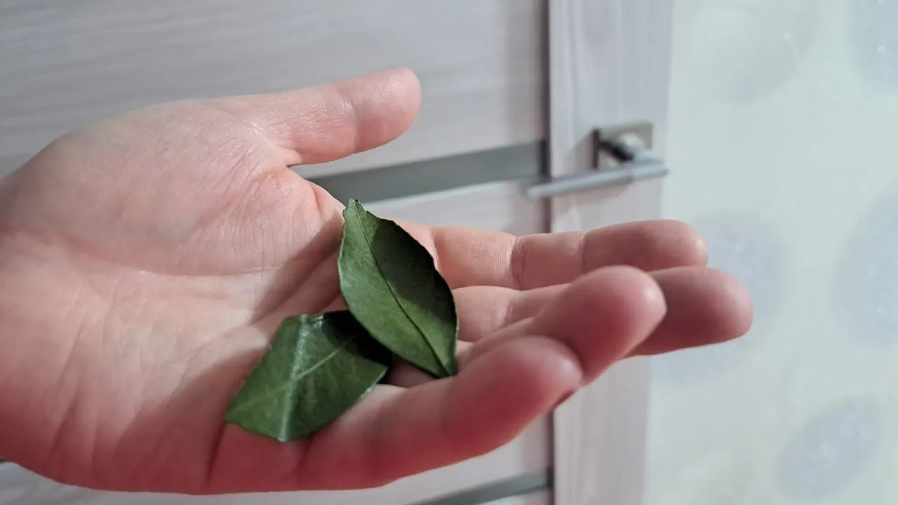 Фото: REGIONS/Татьяна Замятина