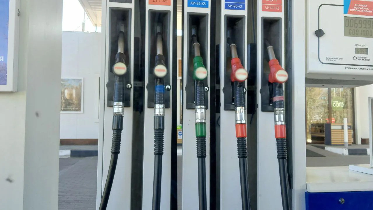 Фото: REGIONS/Василий Тремасов