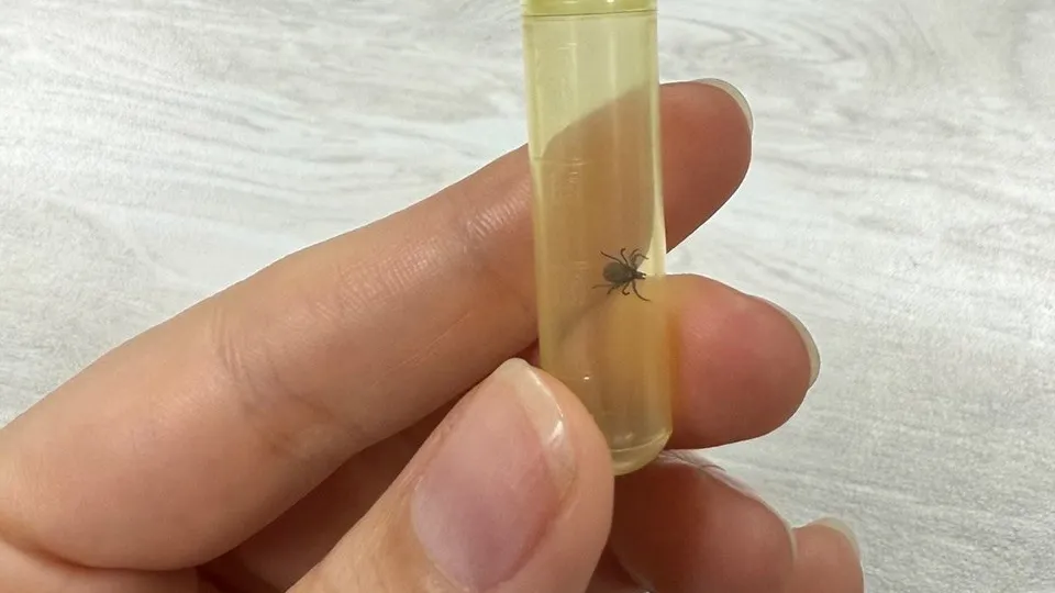 Фото: REGIONS/Александра Степанова