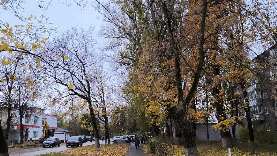 Фото: пресс-служба Администрации г.о. Воскресенск