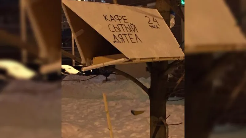Кафе для птиц «Сытый дятел» соорудили в Подольске