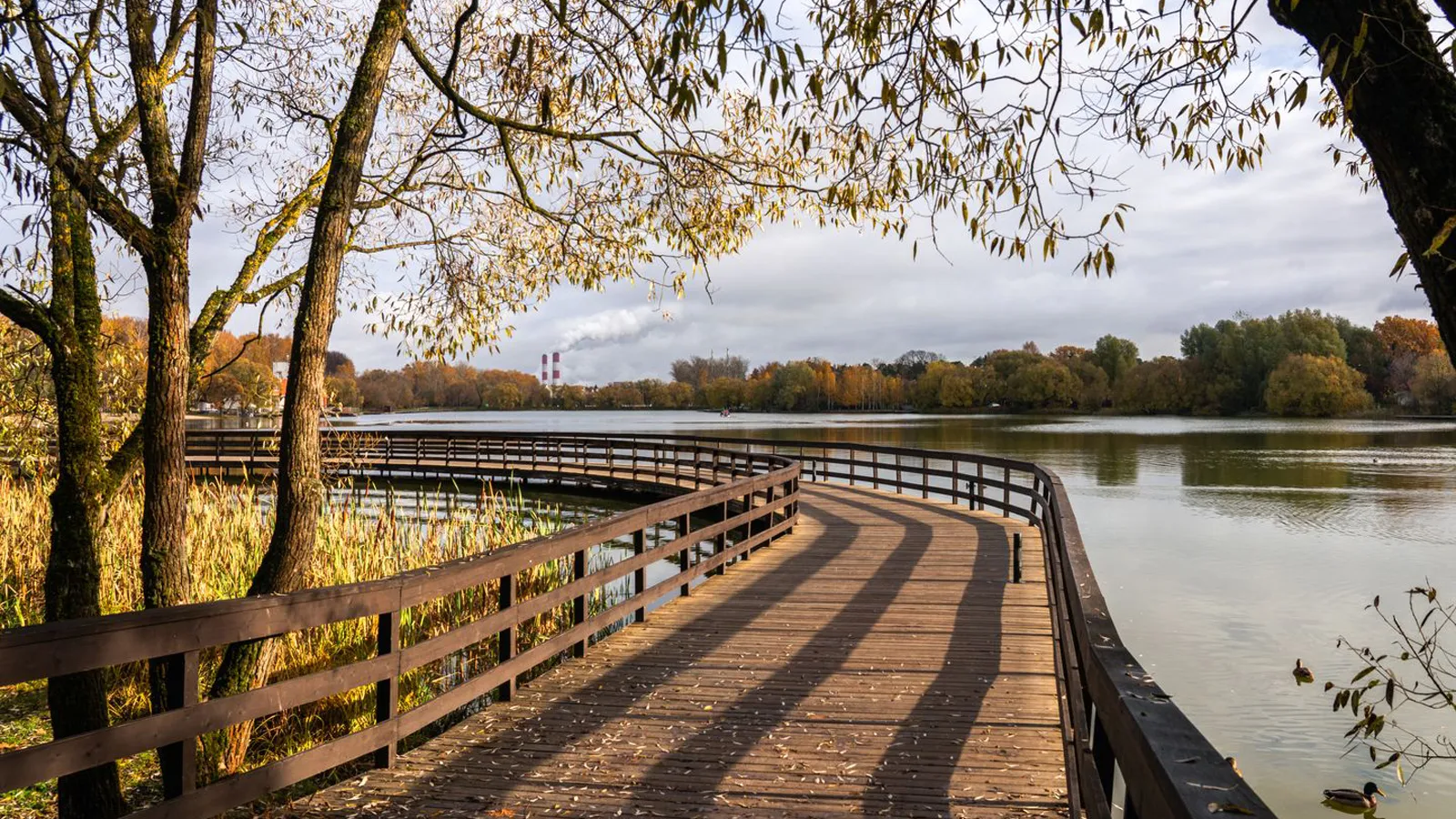 Фото: медиасток.рф