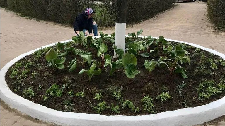 Фото: vk.com/Дмитровское отделение МОО ВООПИиК.