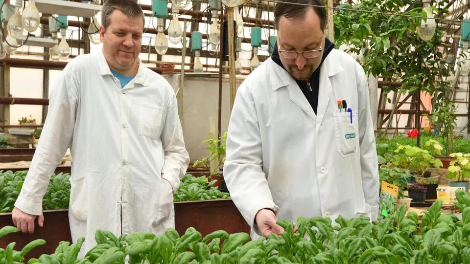 Фото: ИФПБ РАН