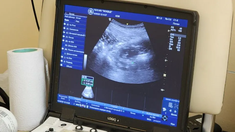 Фото: МедиаБанк Подмосковья/ Евгений Александрович Рой