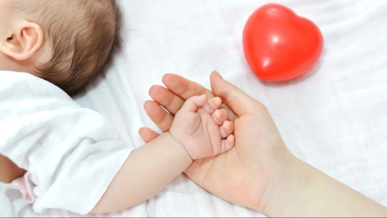 Источник: Министерство социального развития Московской области