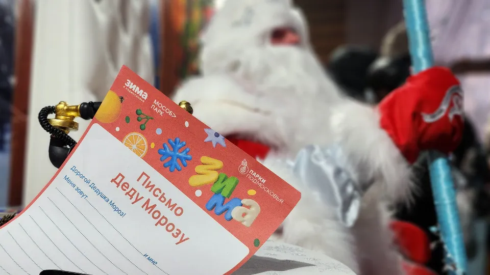 Фото: МедиаБанк Подмосковья/Екатерина Данилина