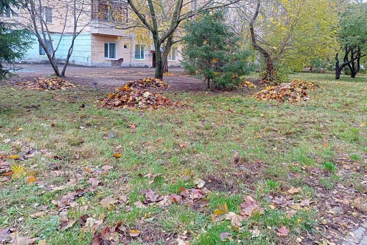 Нина Соколова