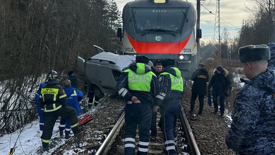 Фото: пресс-служба ГУ МВД России по Московской области