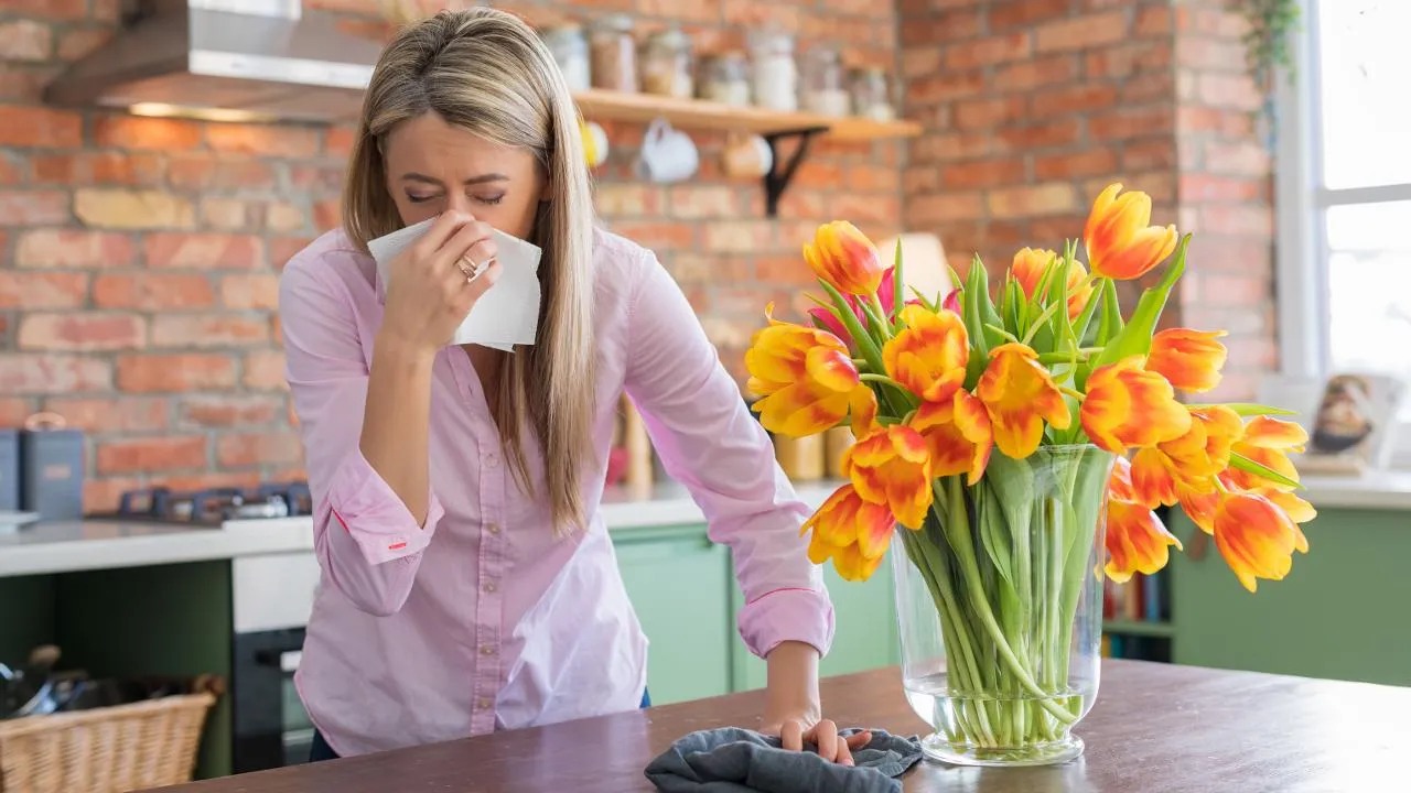 istockphoto.com/grinvalds