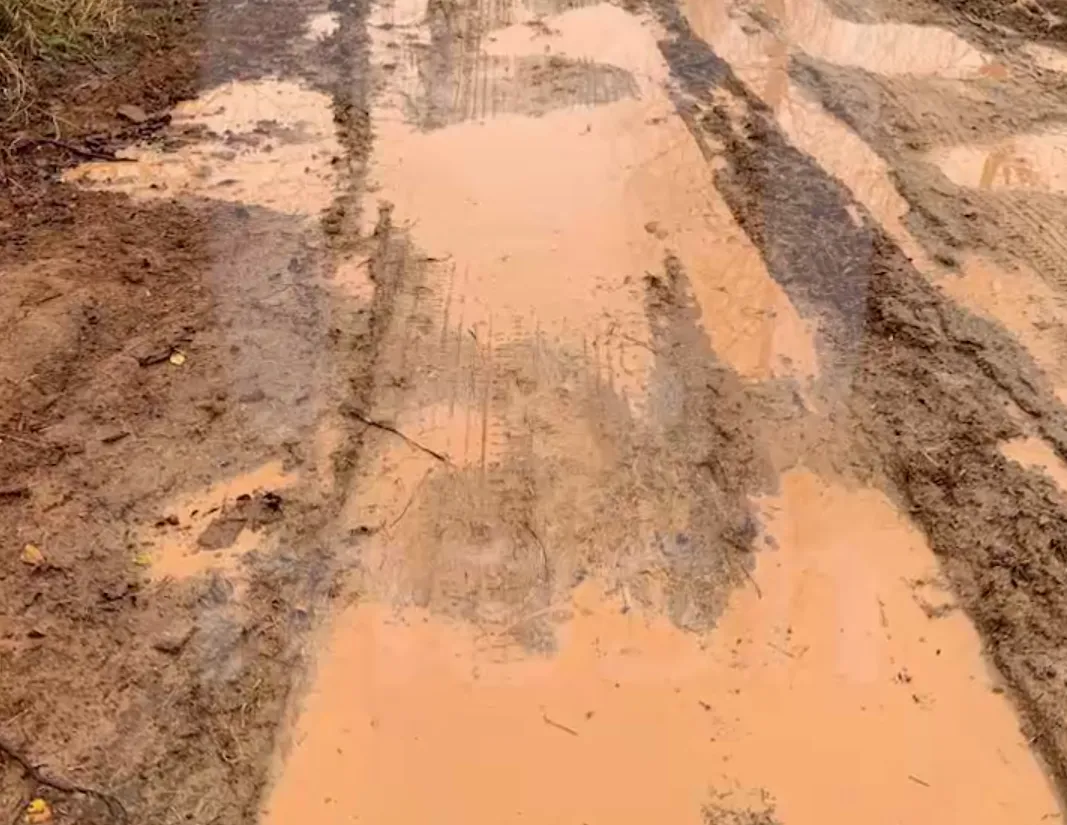 Фото: Mash / Telegram