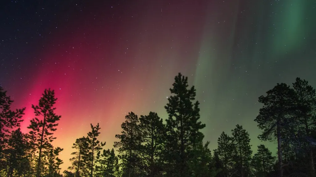 Фото: pxhere.com