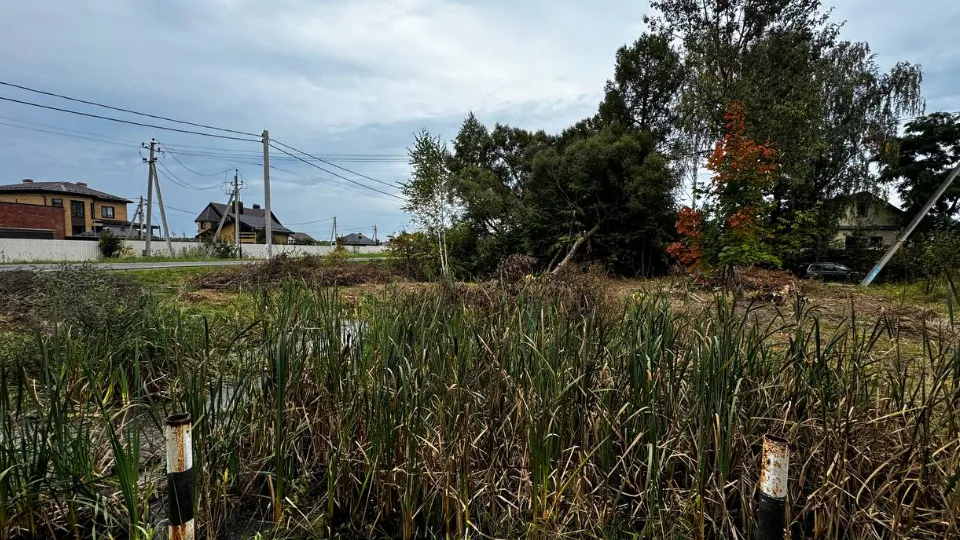 Фото: t.me/mariiaazar3nkova