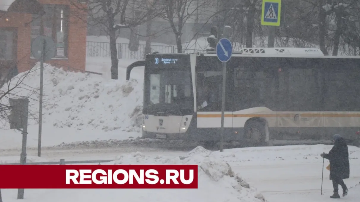 Фото: Василий Тремасов