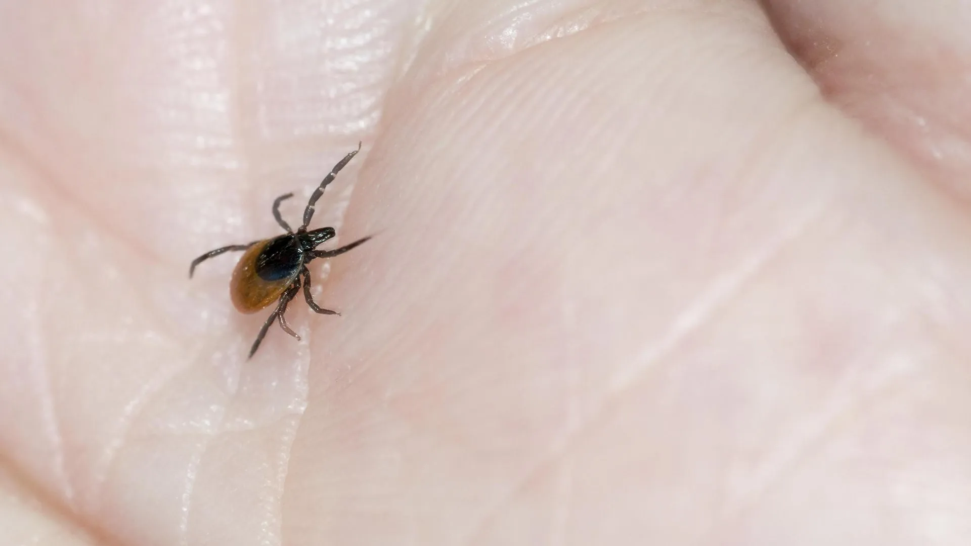 Carola Vahldiek/imageBROKER.com