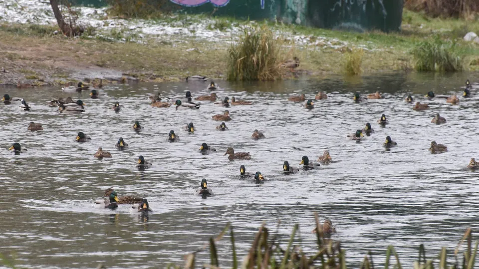 Фото: медиасток.рф