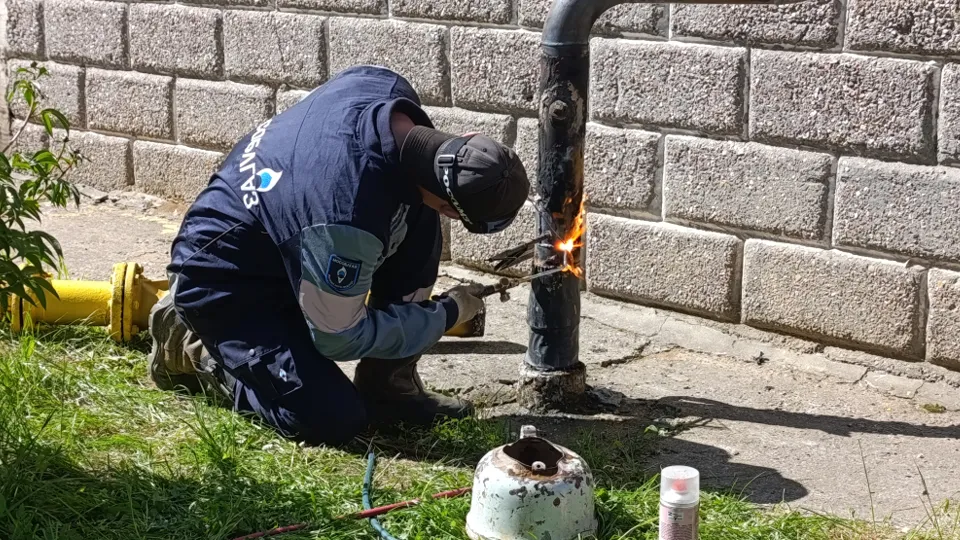 Фото: МедиаБанк Подмосковья/Ольга Антонова