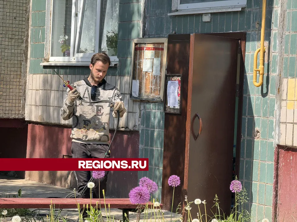 Фото: Татьяна Рунова