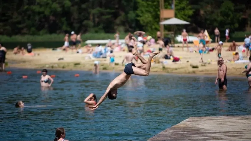 Фото: Министерство благоустройства Московской области