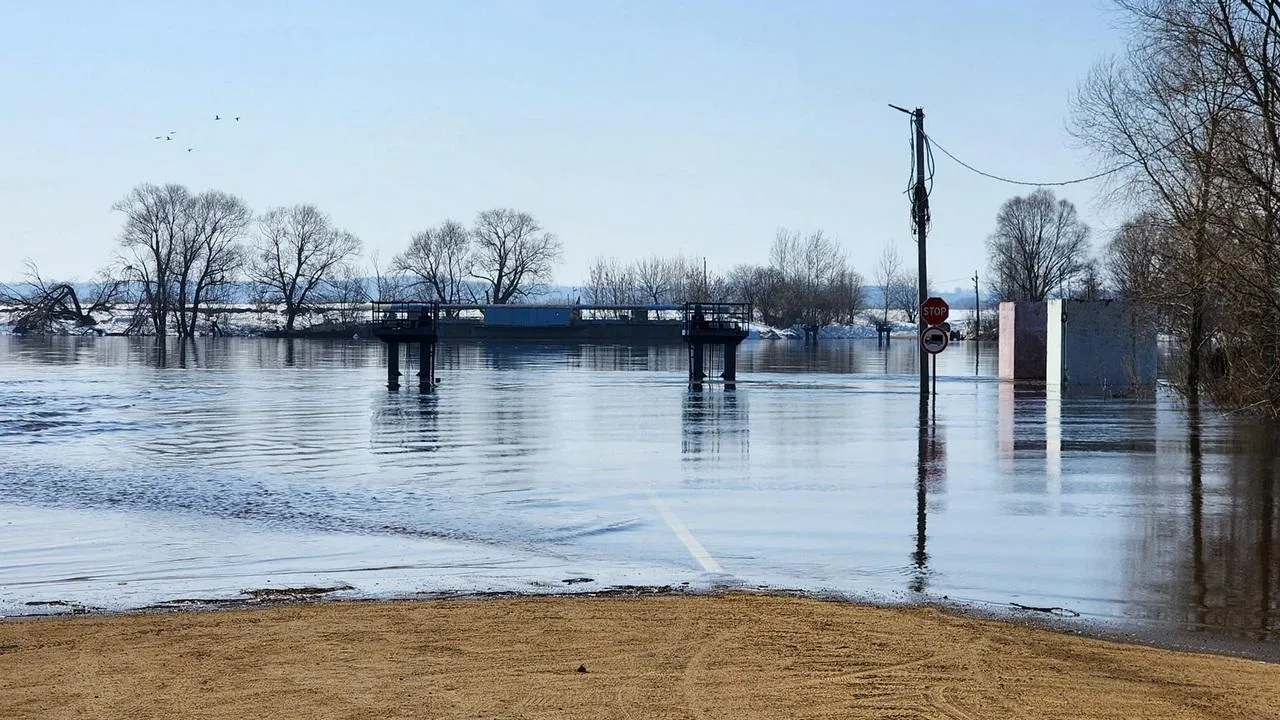 МедиаБанк Подмосковья/Анна Шолохова