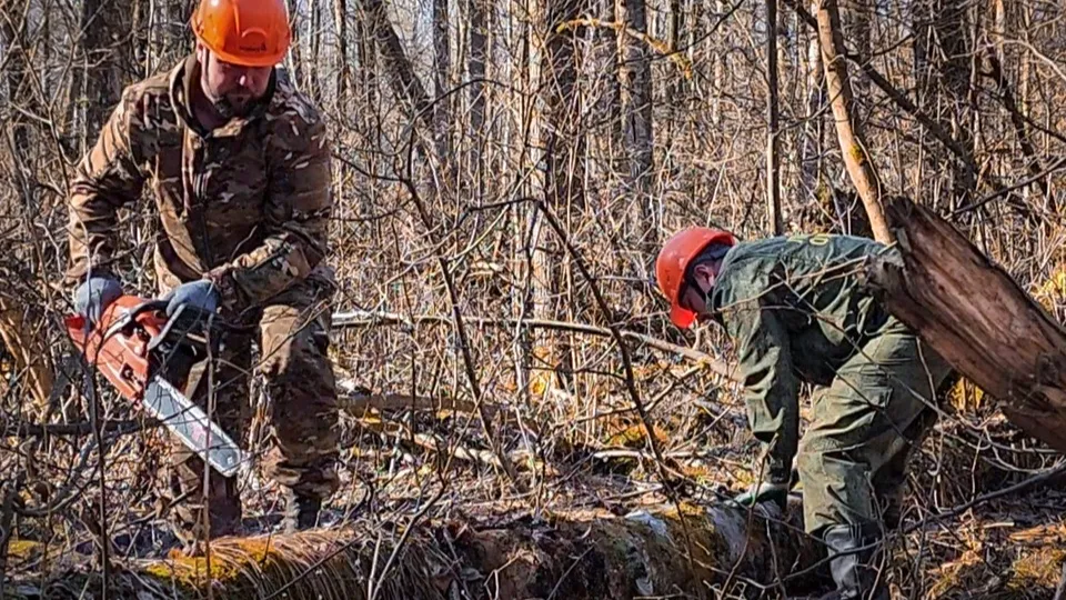 Фото: Ольга Антонова