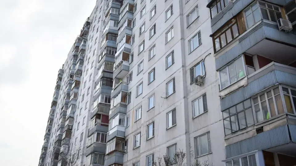 Фото: пресс-служба администрации г.о. Химки