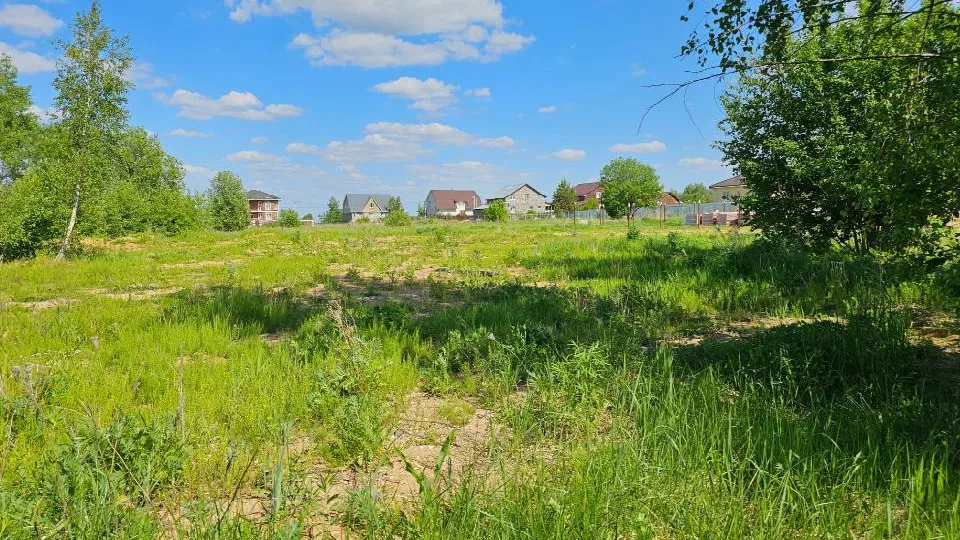 Фото: Комитет по конкурентной политике Московской области