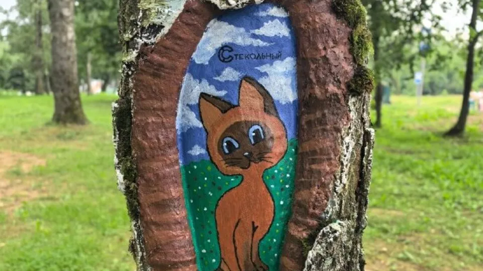 Фото: пресс-служба администрации г.о. Клин