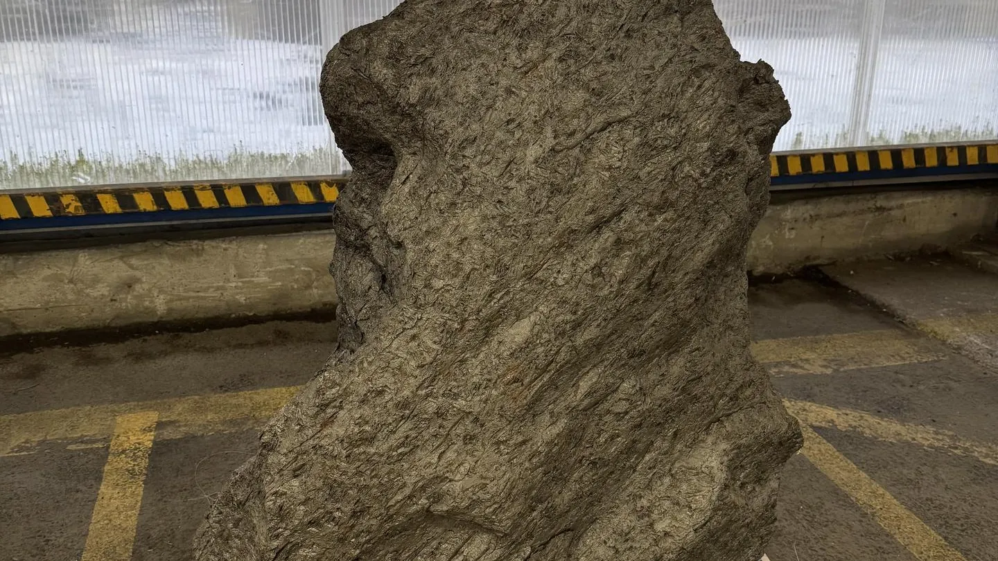 пресс-служба Балтийской таможни