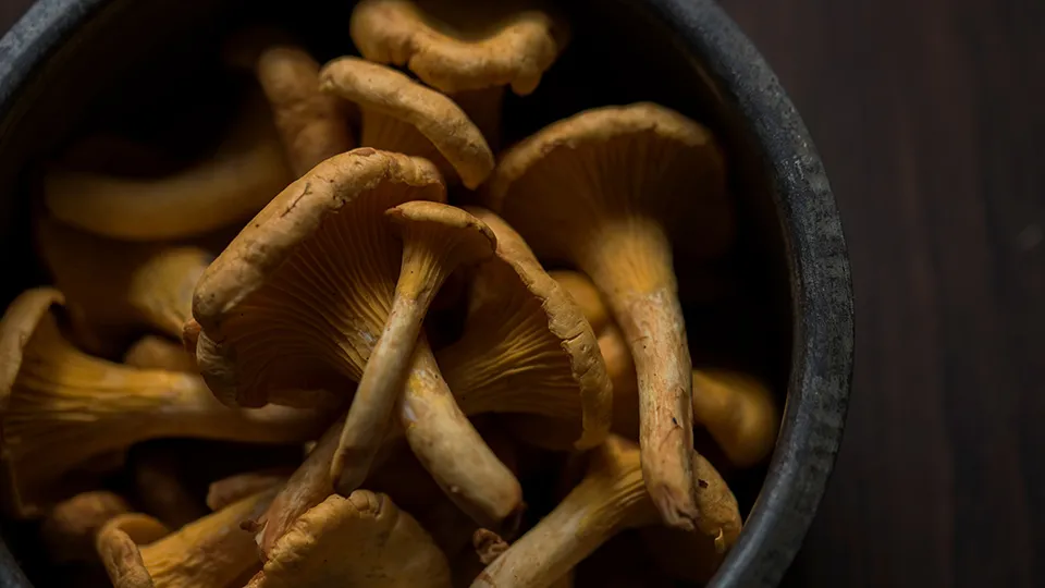 Фото: pxhere.com