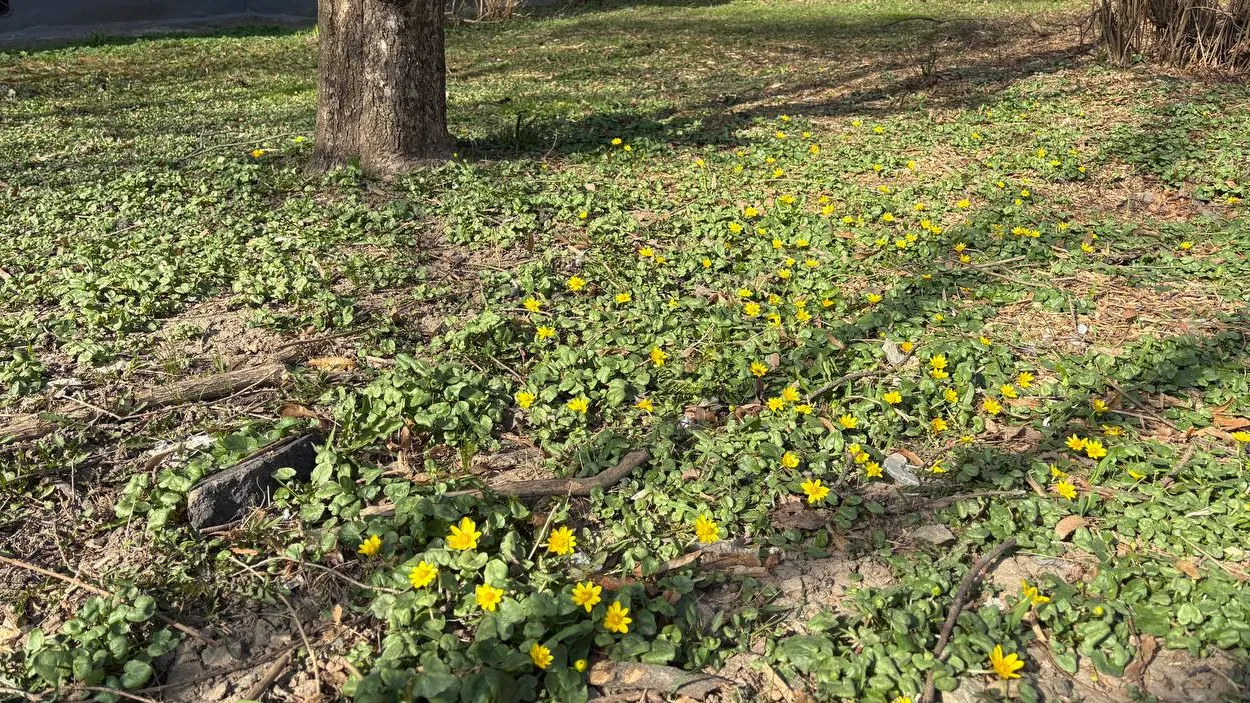 пресс-служба администрации Наро-Фоминского г.о.