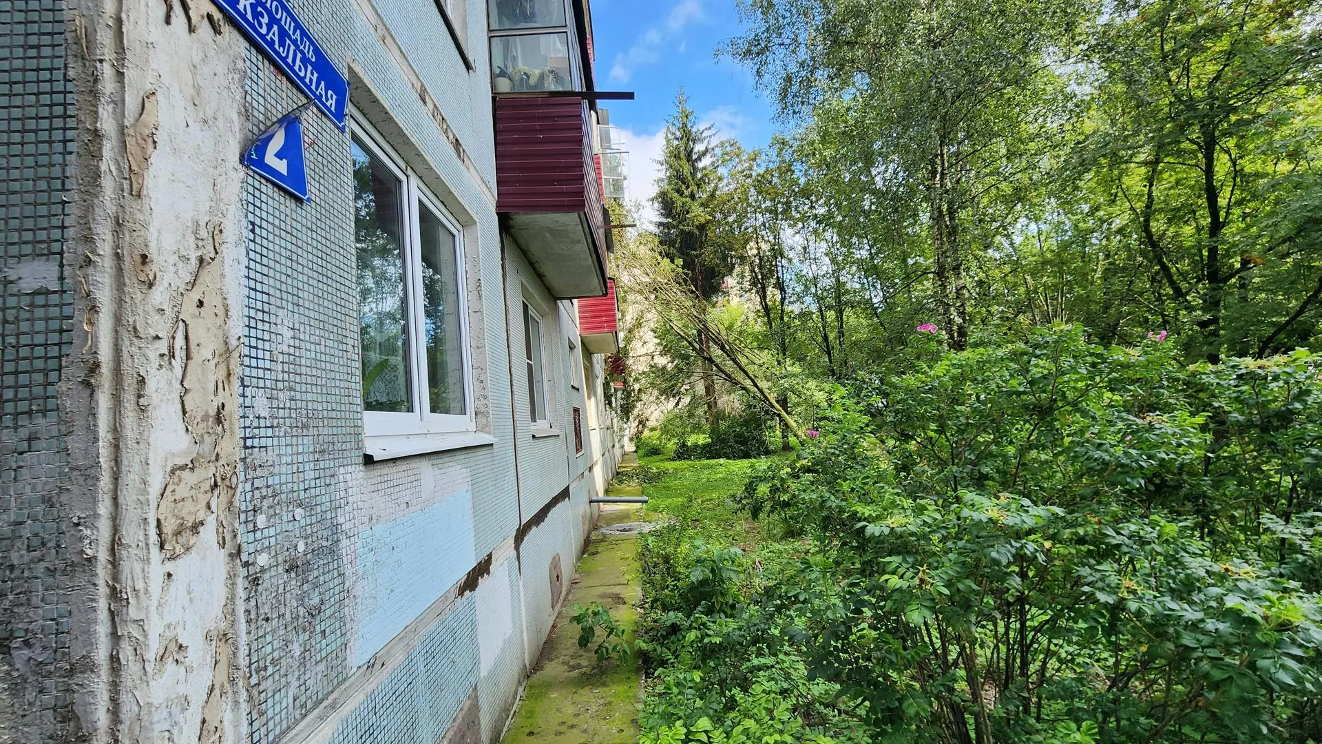 Фото: Дмитрий Алексеенко