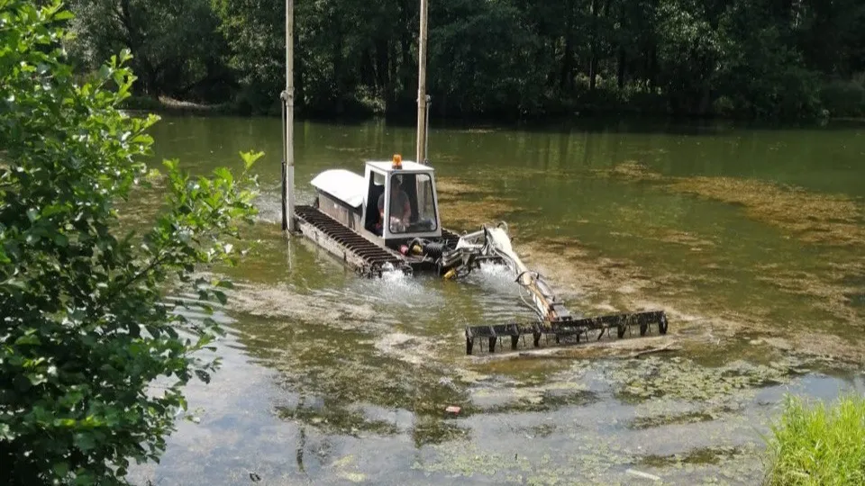 Фото: администрация м.о. Чехов