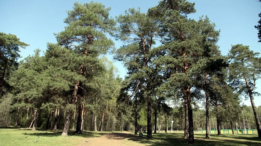 Фото: Администрация городского округа Котельники