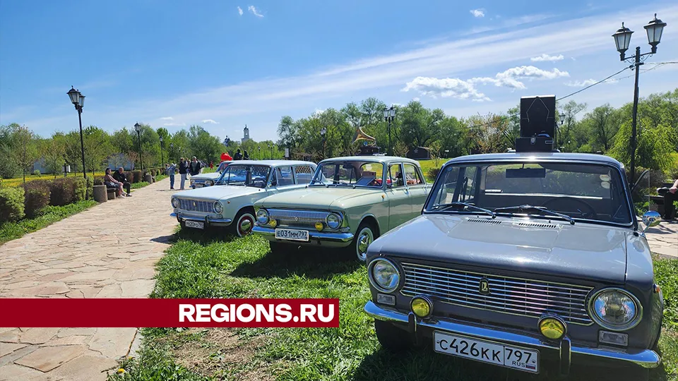 Фото: Александр Стёпушкин