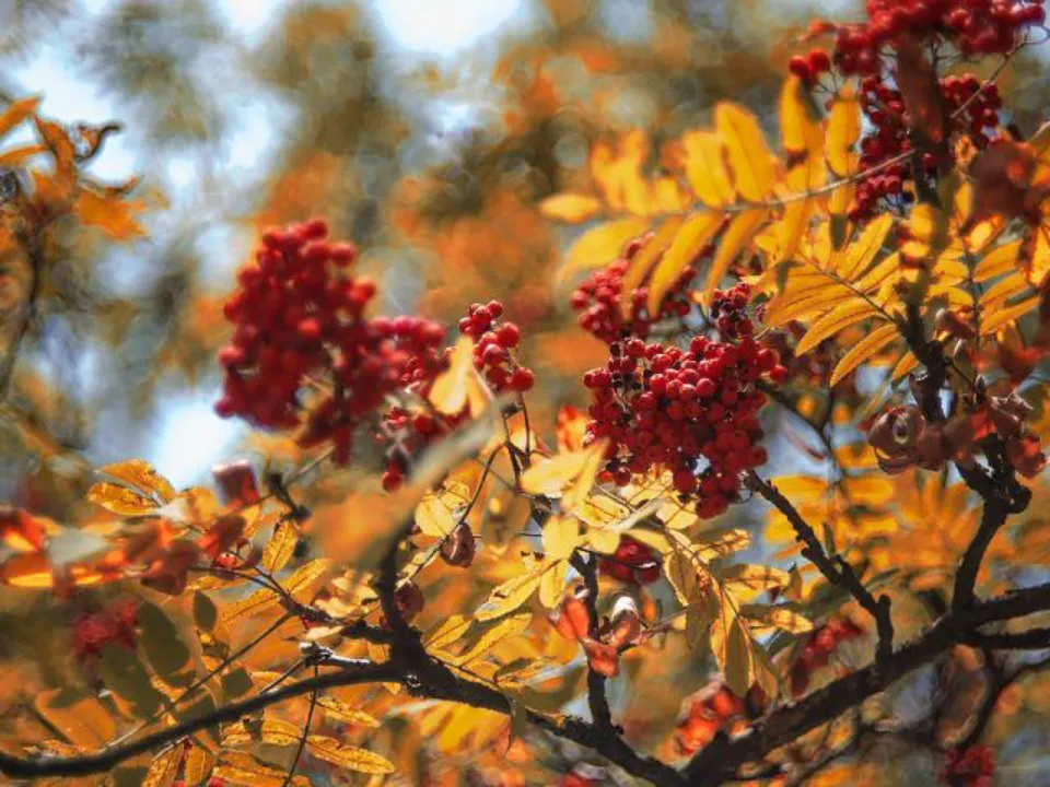 Фото: REGIONS/Наталья Надточая