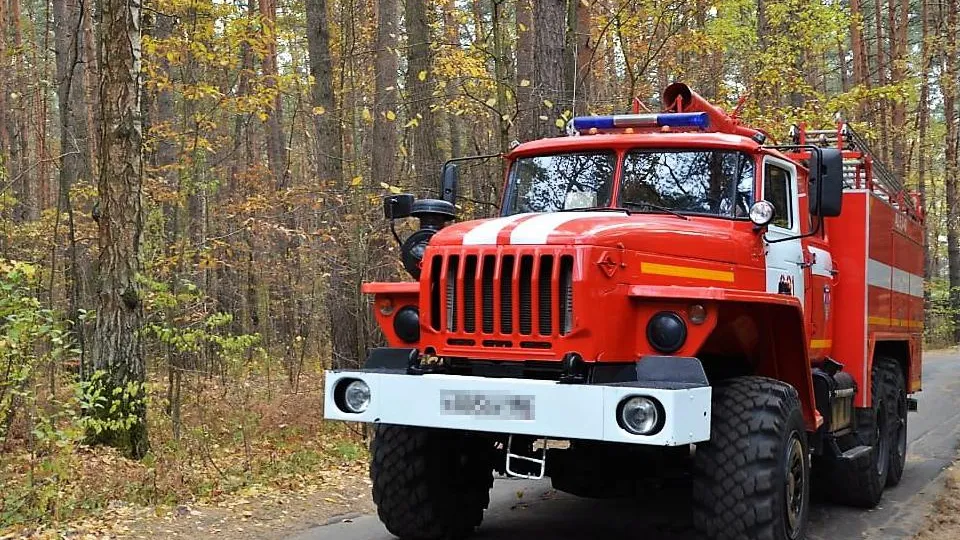 Фото: ГКУ МО «Мособлпожспас»