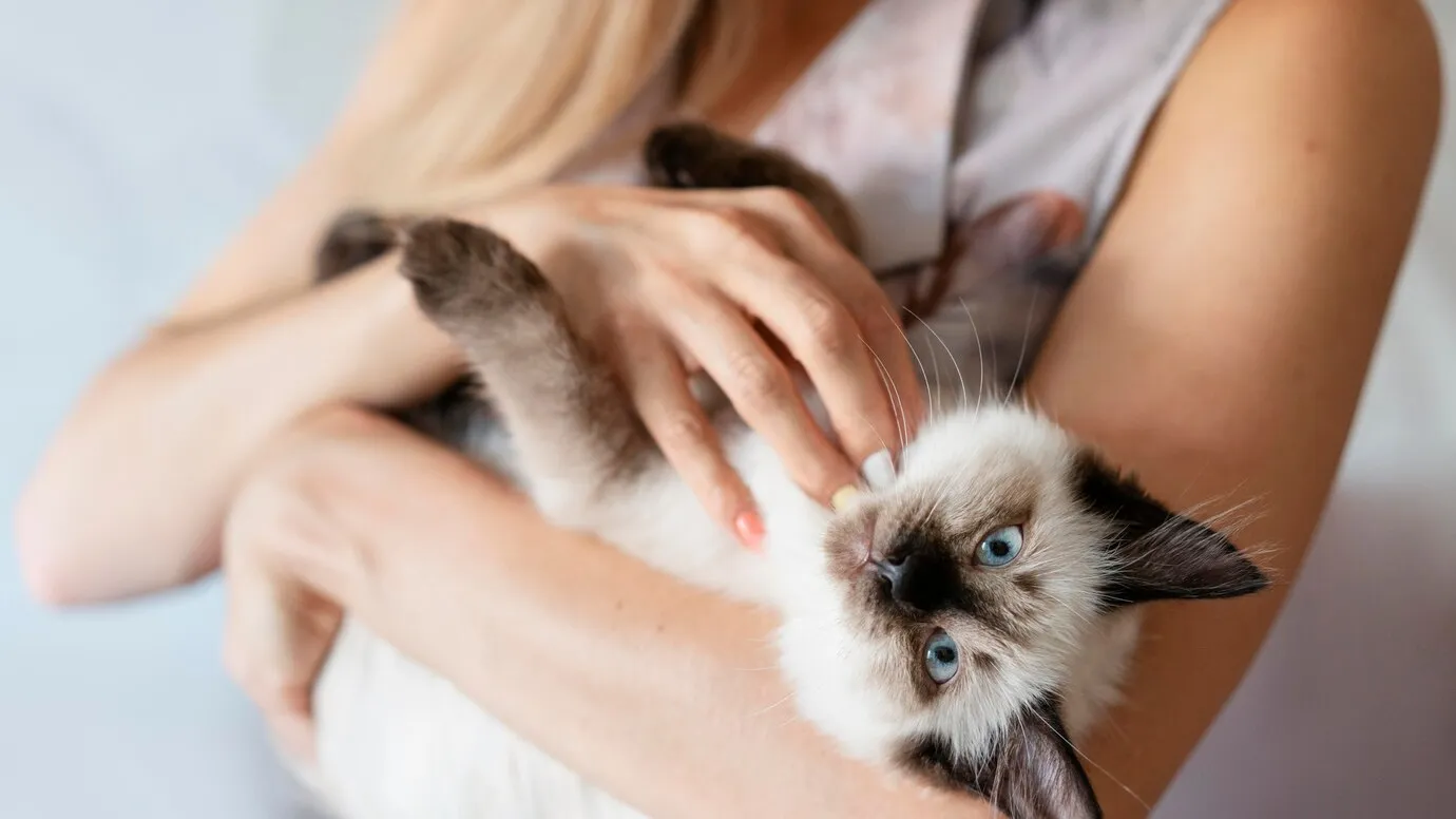 Фото: freepik.com