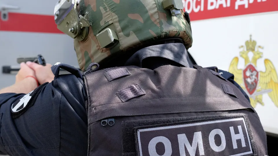 Фото: РИА Новости/Николай Хижняк