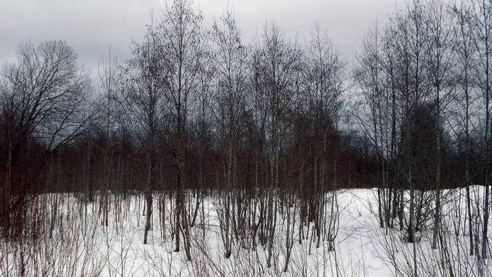 Фото: https://t.me/rsnmsk