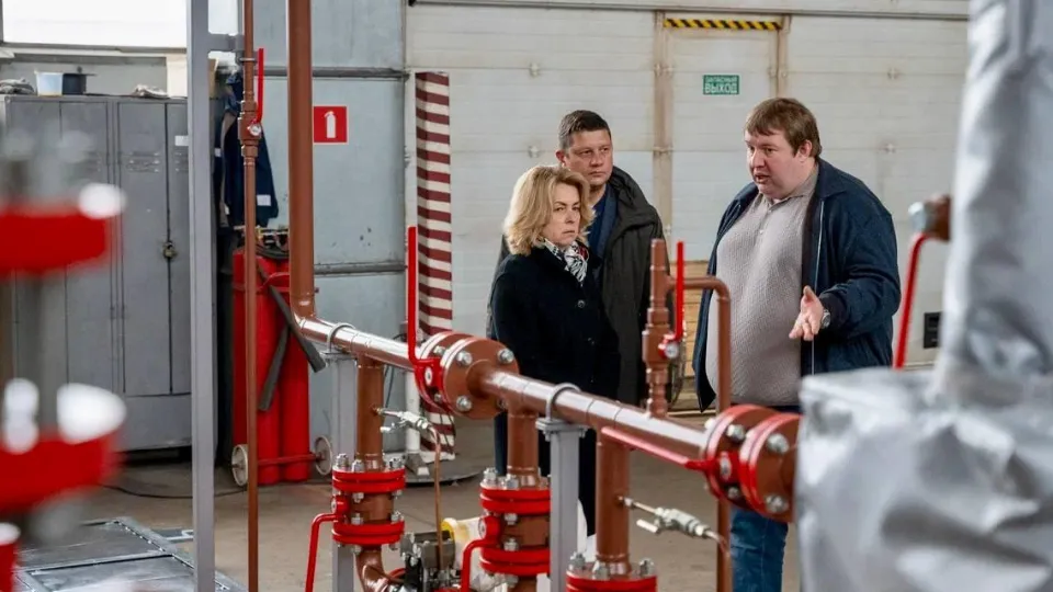 Фото: пресс-служба администрации г. о. Домодедово