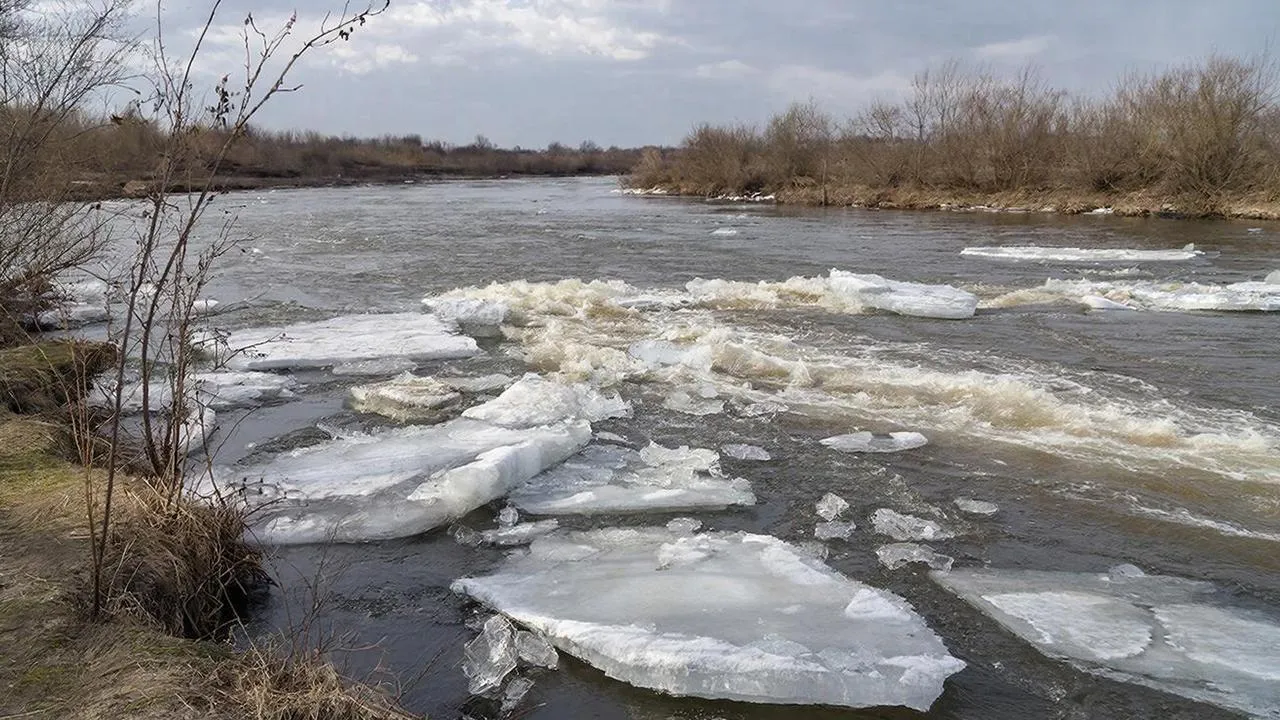 REGIONS/Сгенерировано нейросетью