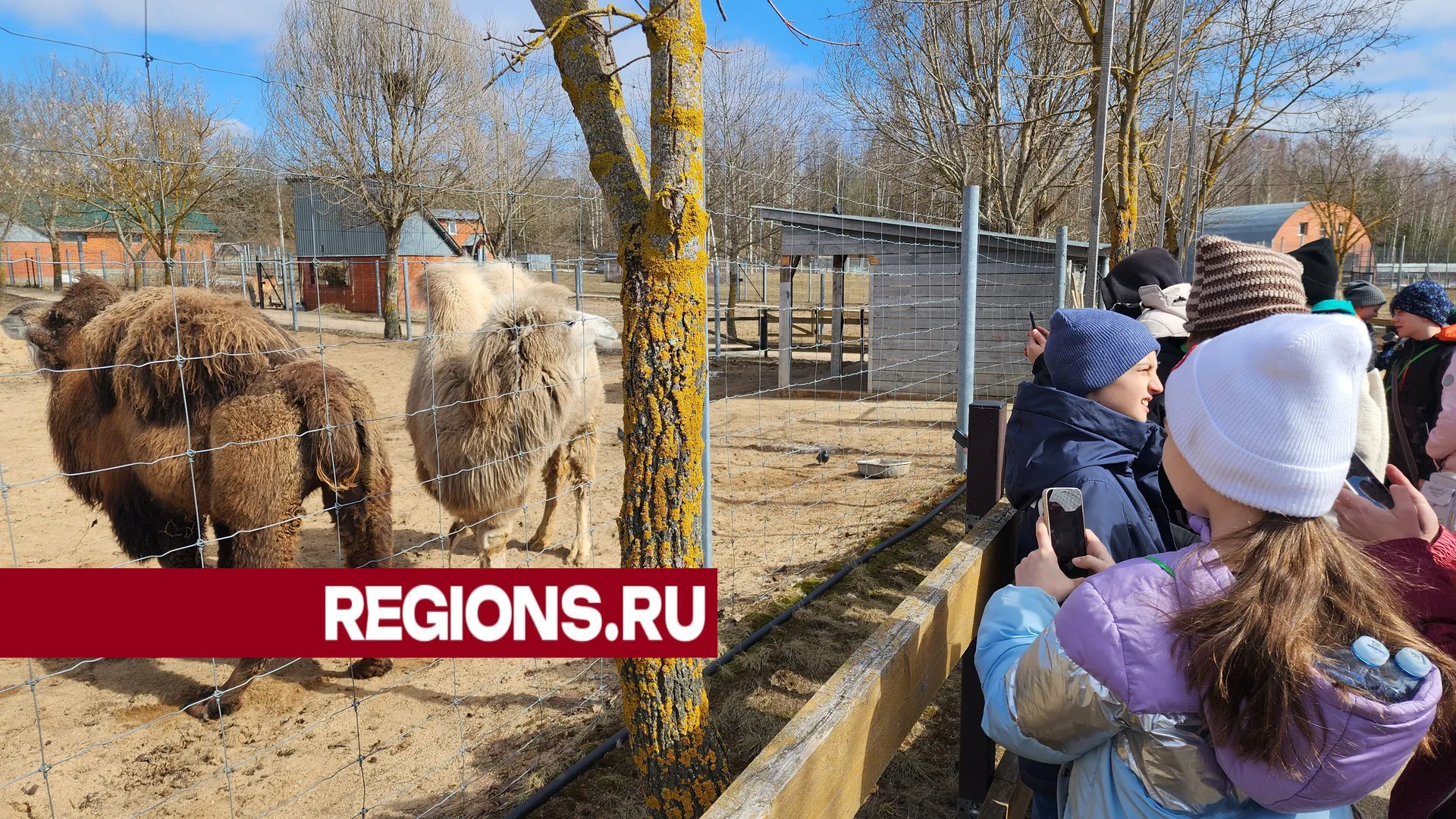 Фото: Светлана Борщева