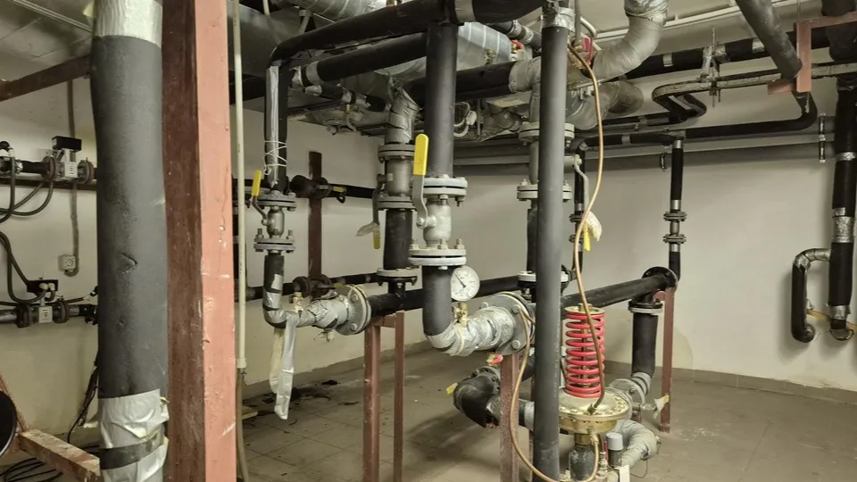 Фото: Юлия Выборова